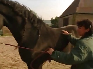Sexy horse and a mature zoophile have good sex