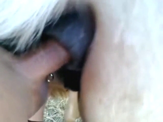 Anal fuck with a slutty mare that loves big dicks