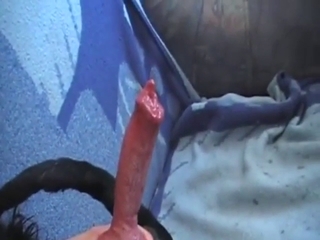 Remarkable zoomed-in footage of a dog's penis