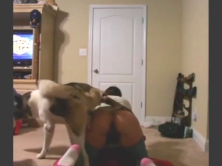 Wife's foray into cheating in zoophile porn