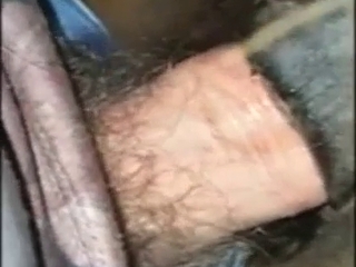 Anal zoo porn with a hot-ass stallion taking it
