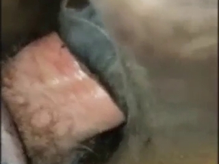 Anal zoo porn with a hot-ass stallion taking it