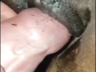 Anal zoo porn with a hot-ass stallion taking it