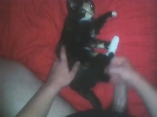 Cat featured in zoo XXX with hardcore banging