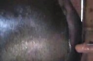 Blowjob bestiality sex